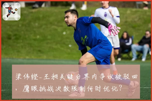 梁伟铿_王昶关键分界内争议被驳回，鹰眼挑战次数限制何时优化？
