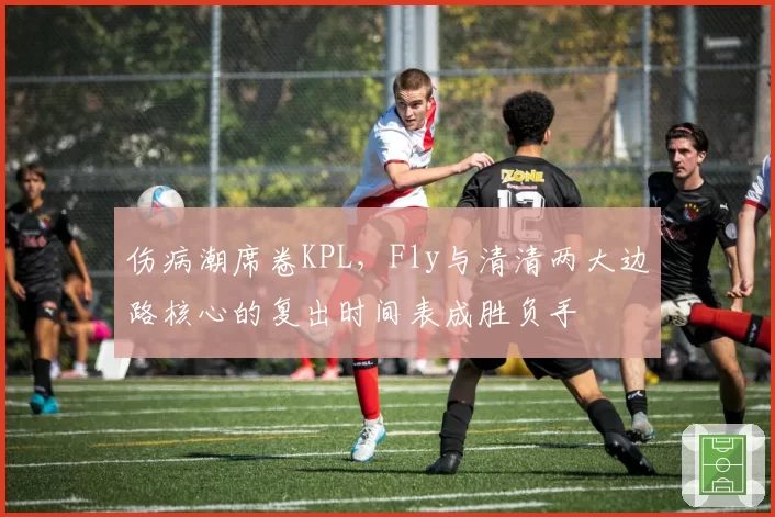 伤病潮席卷KPL，Fly与清清两大边路核心的复出时间表成胜负手