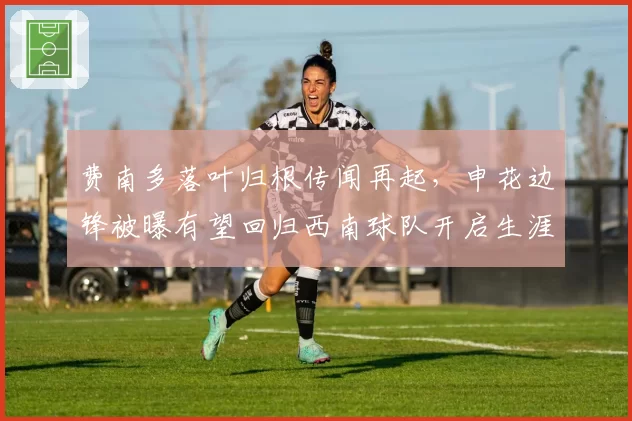 费南多落叶归根传闻再起，申花边锋被曝有望回归西南球队开启生涯倒计时__br_